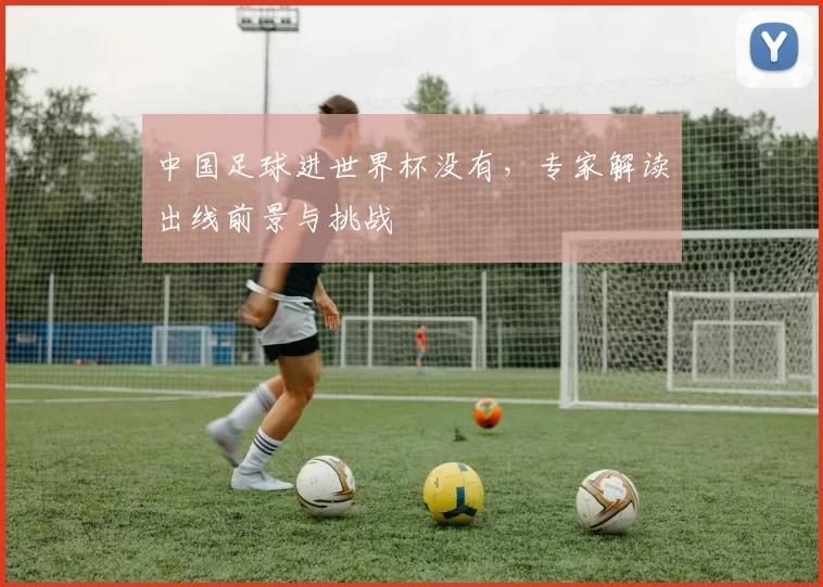 中国足球进世界杯没有,专家解读出线前景与挑战
