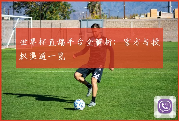 世界杯直播平台全解析:官方与授权渠道一览