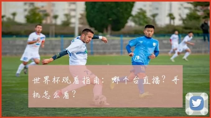 世界杯观看指南：哪个台直播？手机怎么看？