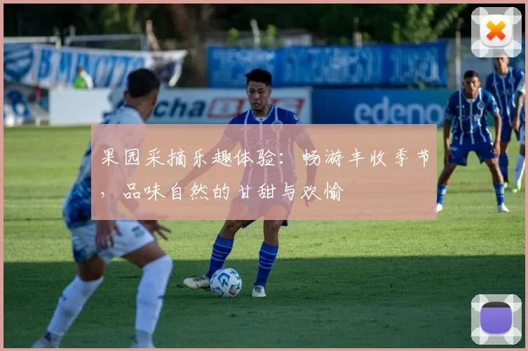 果园采摘乐趣体验:畅游丰收季节,品味自然的甘甜与欢愉