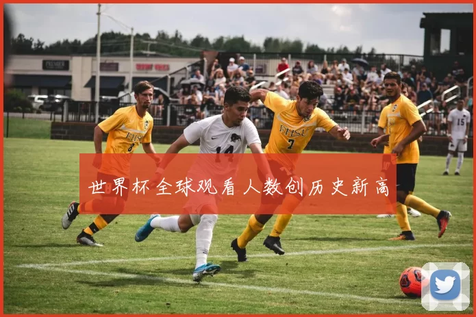 世界杯全球观看人数创历史新高
