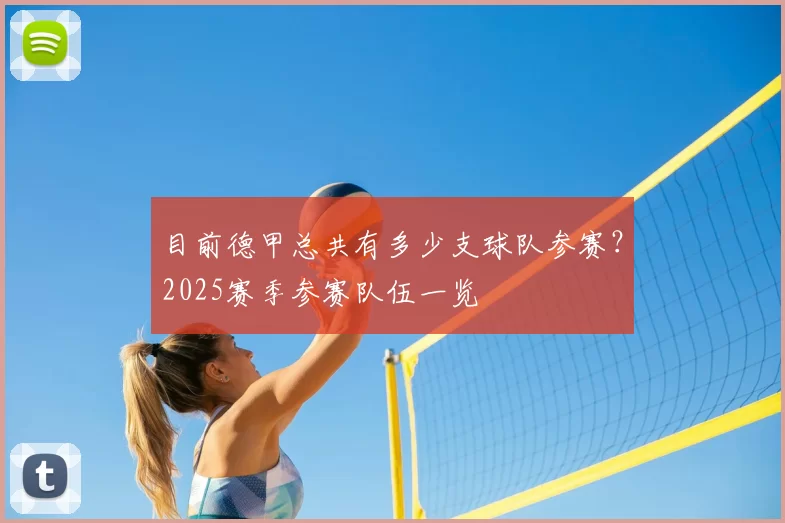 目前德甲总共有多少支球队参赛?2025赛季参赛队伍一览