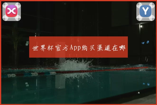 世界杯官方App购买渠道在哪