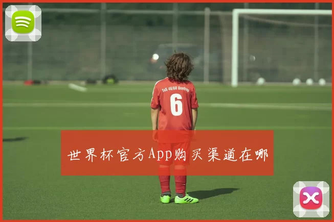 世界杯官方App购买渠道在哪