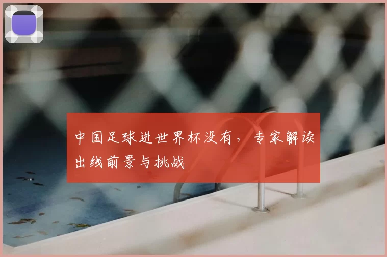 中国足球进世界杯没有,专家解读出线前景与挑战