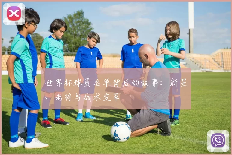 世界杯球员名单背后的故事:新星、老将与战术变革