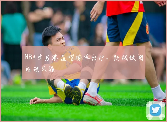 NBA季后赛盖帽榜单出炉,防线铁闸谁领风骚