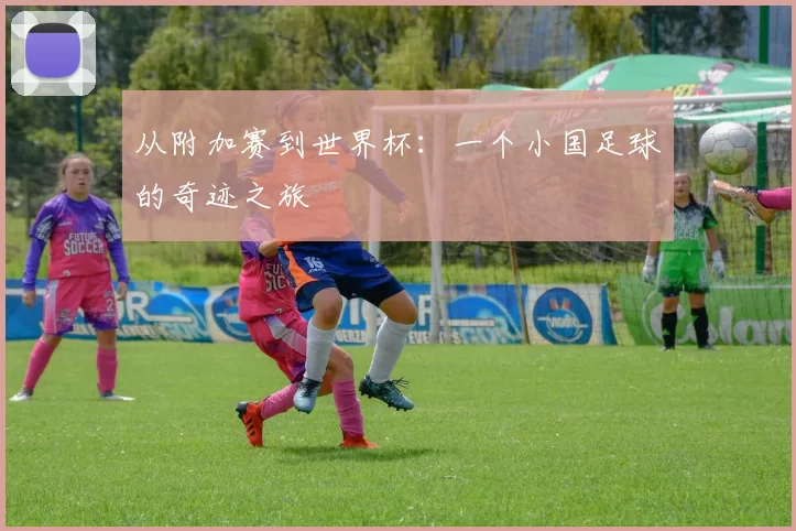 从附加赛到世界杯:一个小国足球的奇迹之旅