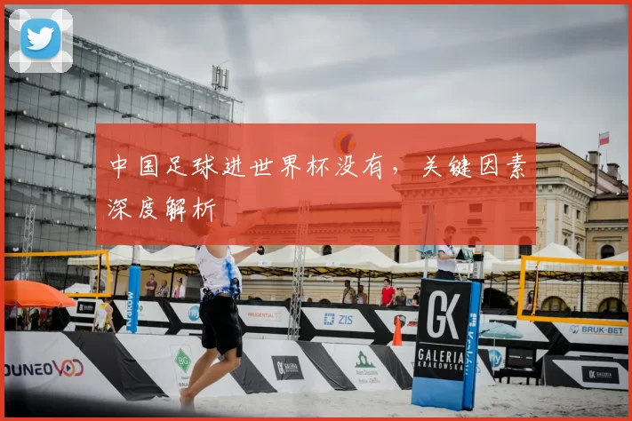 中国足球进世界杯没有,关键因素深度解析