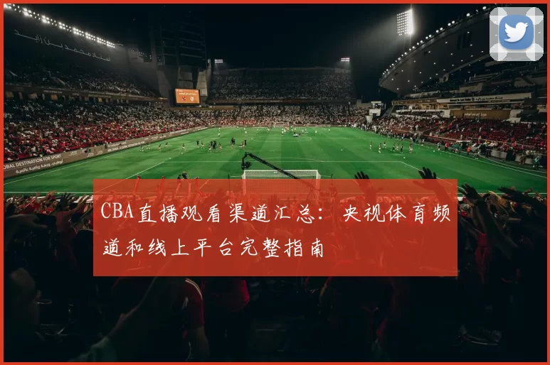 CBA直播观看渠道汇总:央视体育频道和线上平台完整指南