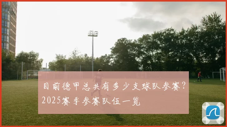 目前德甲总共有多少支球队参赛?2025赛季参赛队伍一览