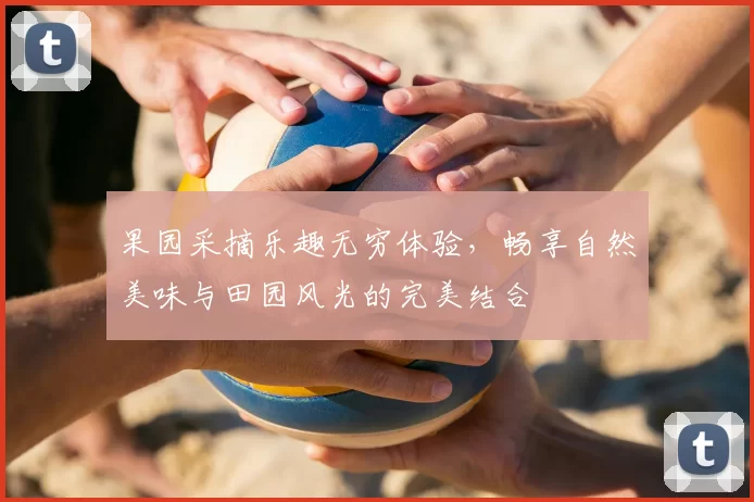 果园采摘乐趣无穷体验,畅享自然美味与田园风光的完美结合