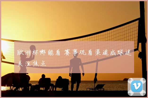 欧洲杯哪能看 赛事观看渠道成球迷关注焦点