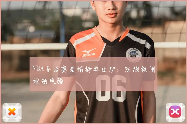 NBA季后赛盖帽榜单出炉,防线铁闸谁领风骚