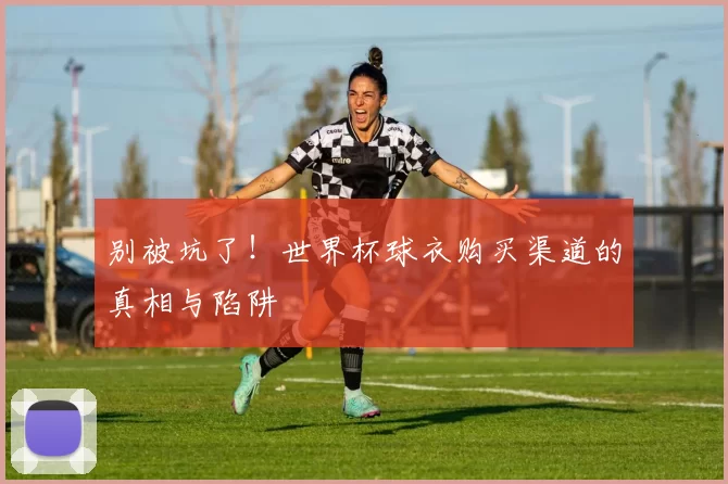 别被坑了!世界杯球衣购买渠道的真相与陷阱