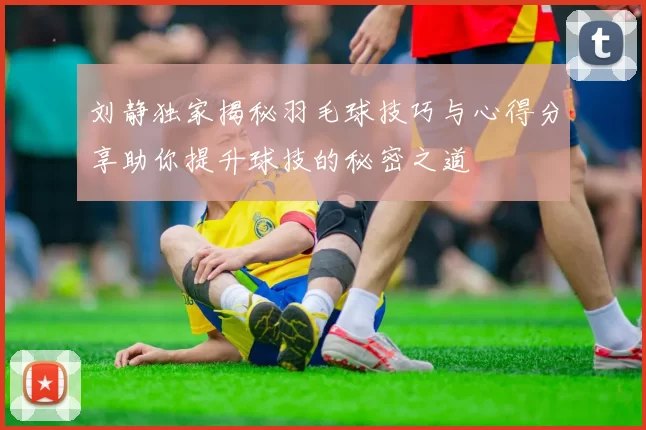 刘静独家揭秘羽毛球技巧与心得分享助你提升球技的秘密之道