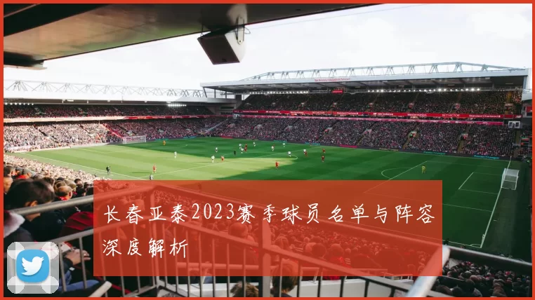 长春亚泰2023赛季球员名单与阵容深度解析